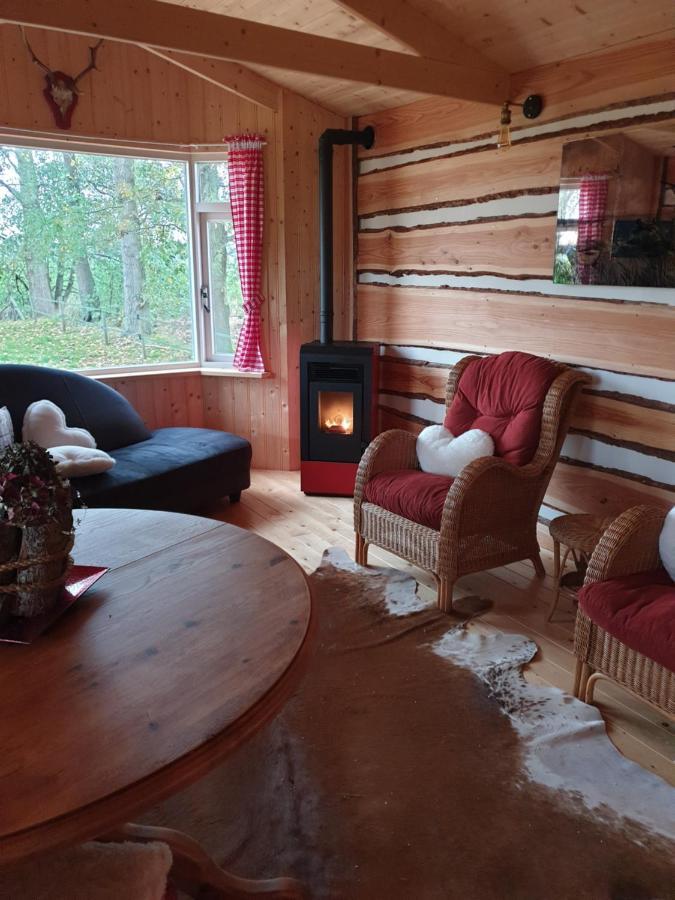 Tiny House Het Reebokje Daire Vriescheloo Dış mekan fotoğraf