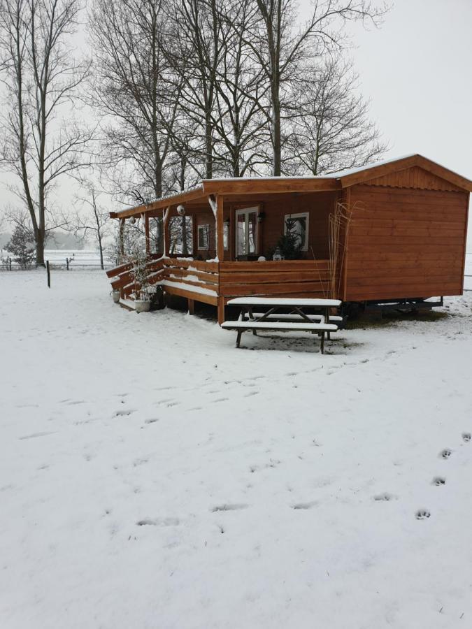 Tiny House Het Reebokje Daire Vriescheloo Dış mekan fotoğraf