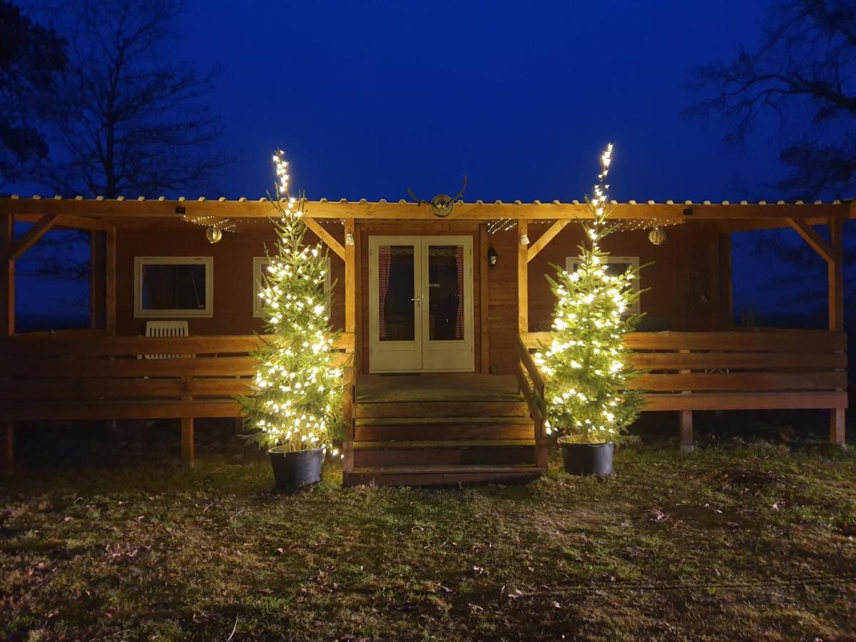 Tiny House Het Reebokje Daire Vriescheloo Dış mekan fotoğraf